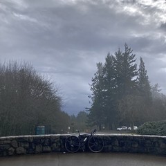 View from Council Crest Park toward Mt. Hood, which hidden by an enormous dark cloud that had just minutes prior passed over Council Crest, unleashing five minutes of sleet with a peal of thunder. A tiny patch of clear sky appears in the upper right. The nearby douglas fir trees are fuzzy in the mist. My bicycle leans against the low stone decorative wall in the foreground. My Stanley thermos mug is in the bottle cage; this object is at elast 10 years old and perfectly sized to fit in a bottle cage — the only insulated mug I have found that is such. All the pebbly paint has worn off my mug and I like to flatter myself it has acquired a kind of wabisabi patina. I love this mug, it manages to keep coffee hot for at least an hour in these punishing conditions, is completely leakproof, and dishwasher-safe.