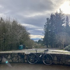 View from Council Crest Park toward Mt Hood, the base of which can be discerned behind several layers of clouds, mist, and precipitation. The sky today is…complicated. There is a high deck of broken stratus clouds, through which the sun breaks through in streaks. This layer of clouds obscures the top of Mt. Hood, and a sheet of precipitation falls over the mountain itself. Across the city — so below 500' elevation — an inversion traps pockets of mist. Directly between us and the mountain, clinging mostly to Mt. Hood’s foothills, are a few scattered silvery clouds of precipitation. Many of these clouds glow brightly in the patches of sunlight that break through the top deck. In the foreground, a bicycle leans against  decorative stone wall. A few small pockets of filthy, slushy ice cling to a few spots on the walkways, the remnants of snow from almost two weeks ago. About 100' distant, to the right/south and slightly downhill, is a stand of tall Douglas firs. At approximately the same d