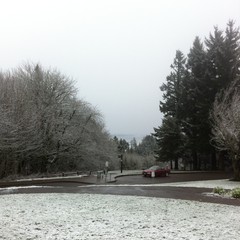 View from Council Crest toward Mt. Hood, which is NOT visible