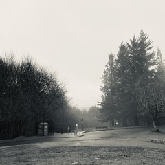 View from Council Crest toward Mt. Hood, which is NOT visible