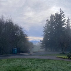 View from Council Crest Park toward Mt. Hood through a chilly morning mist. A high deck of cirrus clouds glow with a silvery, underwater light. Small thin clouds and mists cling to the hilltop, somewhat blurring our view of the snowy mountain