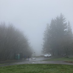 View from Council Crest toward Mt. Hood, which is NOT visible