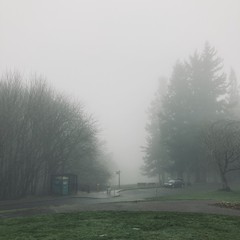 View from Council Crest toward Mt. Hood, which is NOT visible