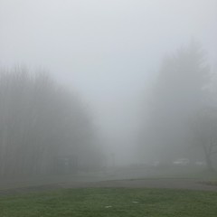 View from Council Crest toward Mt. Hood, which is NOT visible