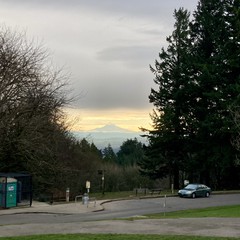 View from Council Crest toward Mt. Hood, which is visible