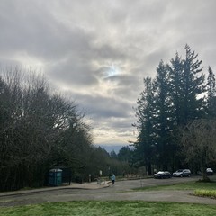View from Council Crest Park toward Mt. Hood, which is (mostly) visible under a weirdly shiny sky. Cirrus clouds form a high deck; several layers of thin marine clouds are at about eye level (1000' above sea level) between us and the mountain. In the near foreground (about 50–100' away) a person is walking away from us, toward the eat