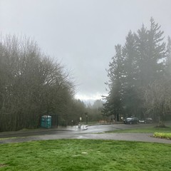 View from Council Crest Park toward Mt. Hood, which is obscured by light rain, mist, and low clouds. Light shines below these clouds; it is a warm day but wet. About 100' away a few people and dogs are standing under tall Douglas fir trees