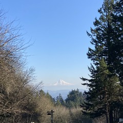 View from Council Crest toward Mt. Hood, which is visible