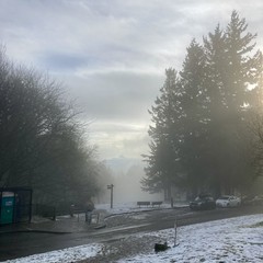 View from Council Crest toward Mt. Hood, which is visible