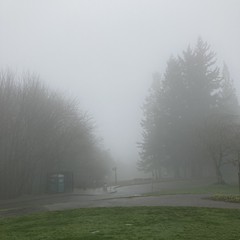 View from Council Crest toward Mt. Hood, which is NOT visible