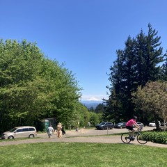 Mt. Hood with a cap of snow and one small cloud near its summit, under a dark blue very dry summer sky. Vegetation brilliant green. A cyclist in hot pink kit is riding up the path toward the summit of the park, about 25' away