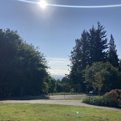 View from Council Crest Park toward Mt. Hood, which is hidden behind a layer of low morning river effect clouds under an otherwise clear sky