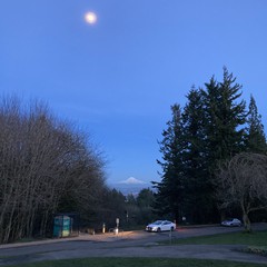View from Council Crest toward Mt. Hood, which is visible