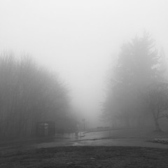 View from Council Crest toward Mt. Hood, which is NOT visible