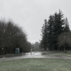 View from Council Crest toward Mt. Hood, which is NOT visible