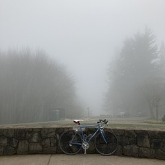 View from Council Crest toward Mt. Hood, which is NOT visible