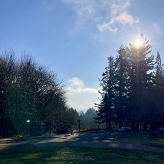 View from Council Crest toward Mt. Hood, which is visible