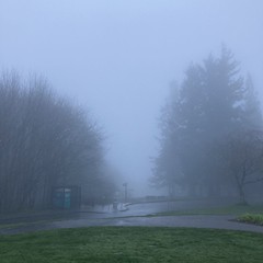 View from Council Crest toward Mt. Hood, which is NOT visible