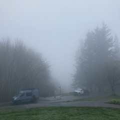View from Council Crest toward Mt. Hood, which is NOT visible