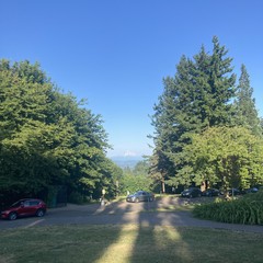 View from Council Crest Park toward Mt. Hood in the very late afternoon. The sun behind the photographer casts long shadows toward the mountain, which is still white with snow