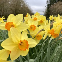 View from Council Crest toward Mt. Hood, which is NOT visible
