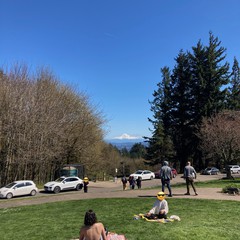 View from Council Crest toward Mt. Hood, which is visible