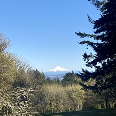 View from Council Crest toward Mt. Hood, which is visible