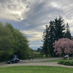 View from Council Crest toward Mt. Hood, which is visible