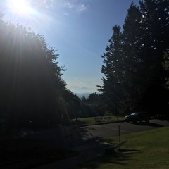 View from Council Crest toward Mt. Hood, which is visible