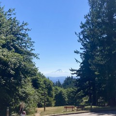 Mt. Hood, still somewhat snowy, gleaming under a brilliant sky