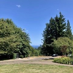 Mt Hood as seen from council crest on a very clear but slightly humid late July afternoon