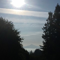 View from Council Crest toward Mt. Hood, which is visible