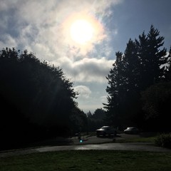 View from Council Crest toward Mt. Hood, which is visible