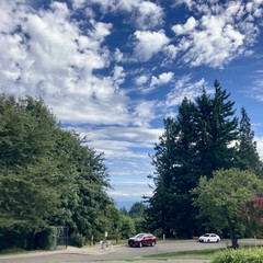 Looking from Council Crest Park toward Mt. Hood, which is obscured by a layer of marine clouds passing east