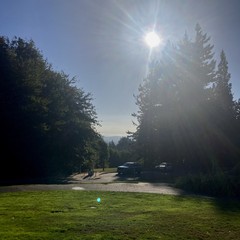 Mt. Hood on the horizon, seen from atop Council Crest Park in Portland, on a bright sunny mid-morning. About 50' away a stand of tall Douglas Firs looms black against the sun, which shines directly into the lens