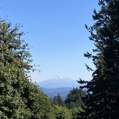 It is a very rare day when my squishy human eyes can make out more detail at 50 miles than my fancy camera phone. But today was such a day! Pilots call this weather “extreme clear”