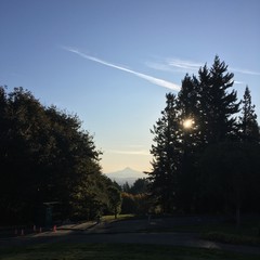 View from Council Crest toward Mt. Hood, which is visible