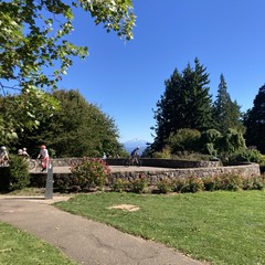 looking east across the observation circle at the top of Council Crest park toward Mt. Hood. A group of five cyclists and a few other people are in the circle. The mountain is visible under a dark, dry, sparkling sky. In the near midground a planting of roses and hydrangeas are shedding the last of their summer petals