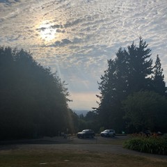 View from Council Crest toward Mt. Hood, which is visible