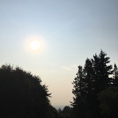 View from Council Crest toward Mt. Hood, which is NOT visible