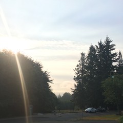 View from Council Crest toward Mt. Hood, which is NOT visible