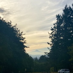View from Council Crest toward Mt. Hood, which is visible