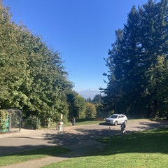 Mt. Hood under a deep blue autumn sky. The remnants of the morning’s marine layer color the intervening distance blue, including a stand of tall doug fir trees about 100' distant