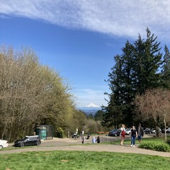 Lots of people visiting the park on the first warm Saturday of the year. Grass extremely green, high cirrus clouds in a clear sky, mountain crisp and snowy