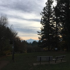 View from Council Crest toward Mt. Hood, which is visible