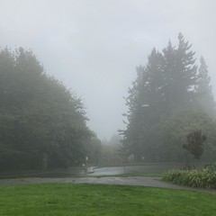 not much to see here. it is gray. it is rainy. it is cold. no mountain.