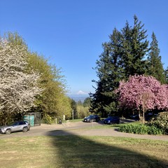 There are only so many ways to say “the mountain is very snowy, the sky is clear, the plum tree is blooming.