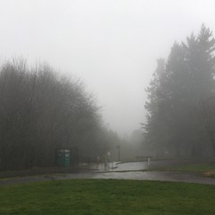 View from Council Crest toward Mt. Hood, which is NOT visible