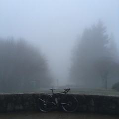 View from Council Crest toward Mt. Hood, which is NOT visible
