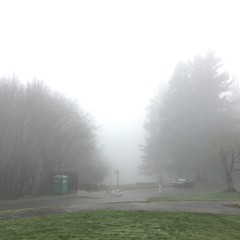 View from Council Crest toward Mt. Hood, which is NOT visible